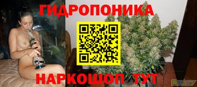 стаф Лесосибирск