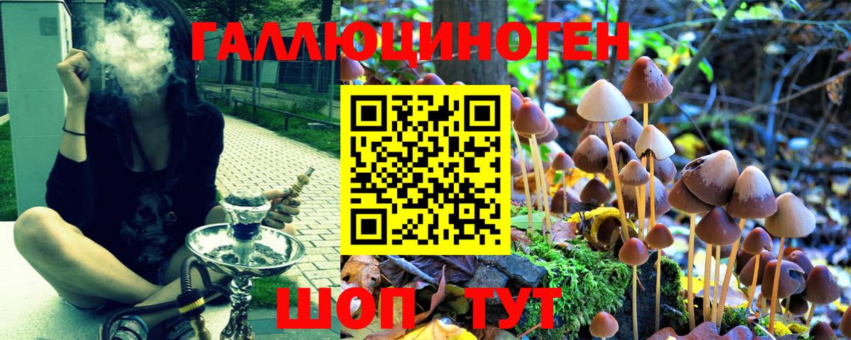 Галлюциногенные грибы GOLDEN TEACHER Тобольск