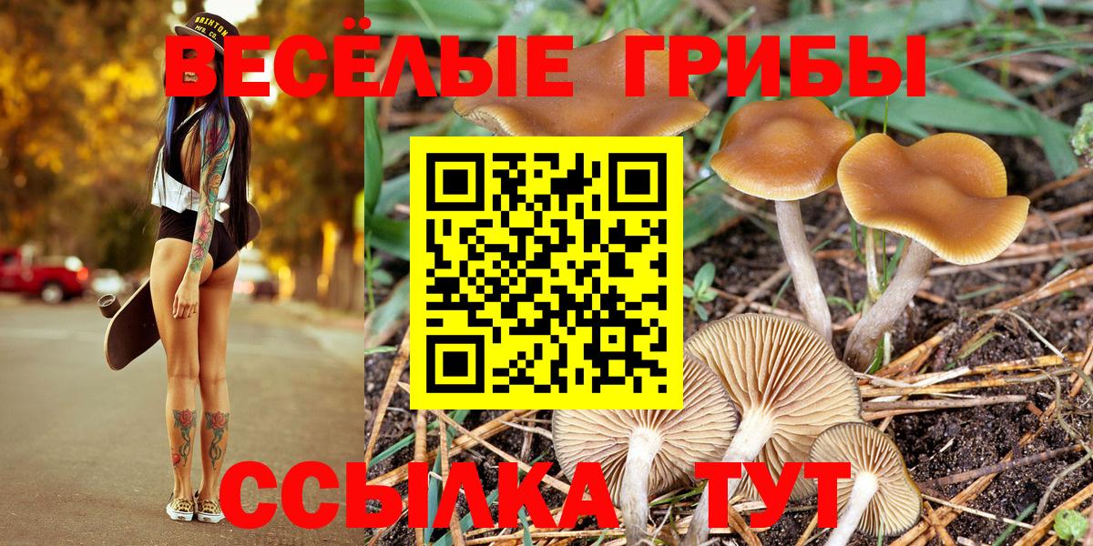 Псилоцибиновые грибы Magic Shrooms  Галлюциногенные грибы мицелий  Тобольск  Вход с VPN 